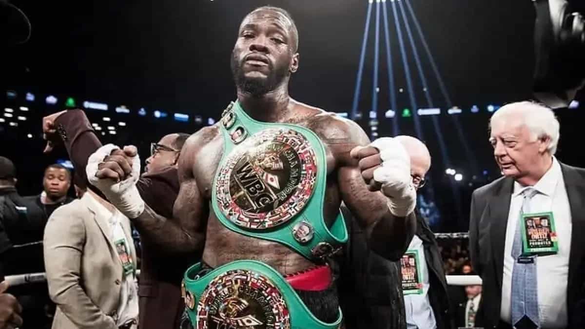 Deontay Wilder cruiserweight bridgerweight