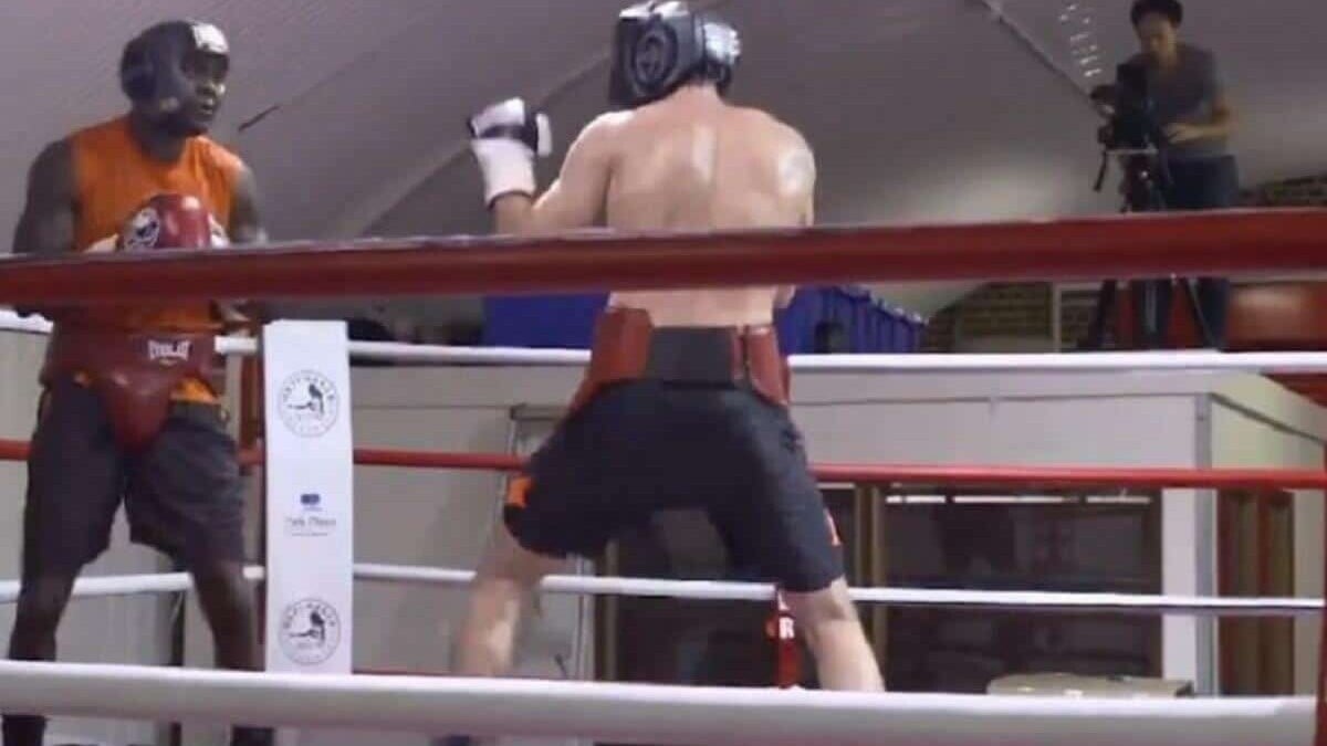 Deontay Wilder vs Filip Hrgovic spar