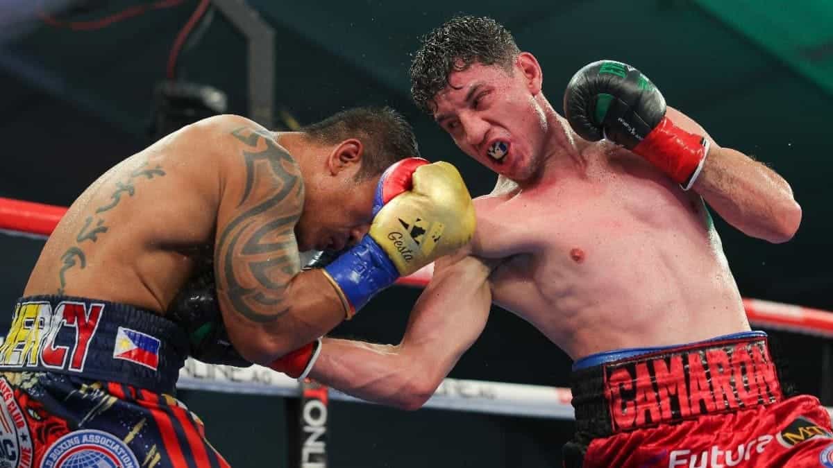 William Zepeda vs Gesta