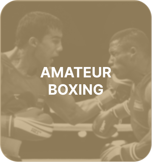0-24 Boxing – Nouveau site de boxe et réseaux sociaux pour les fans