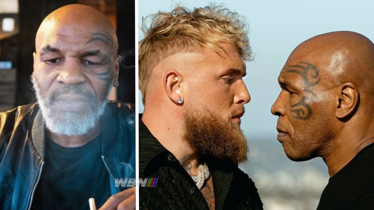 Mike Tyson Jake Paul cannabis