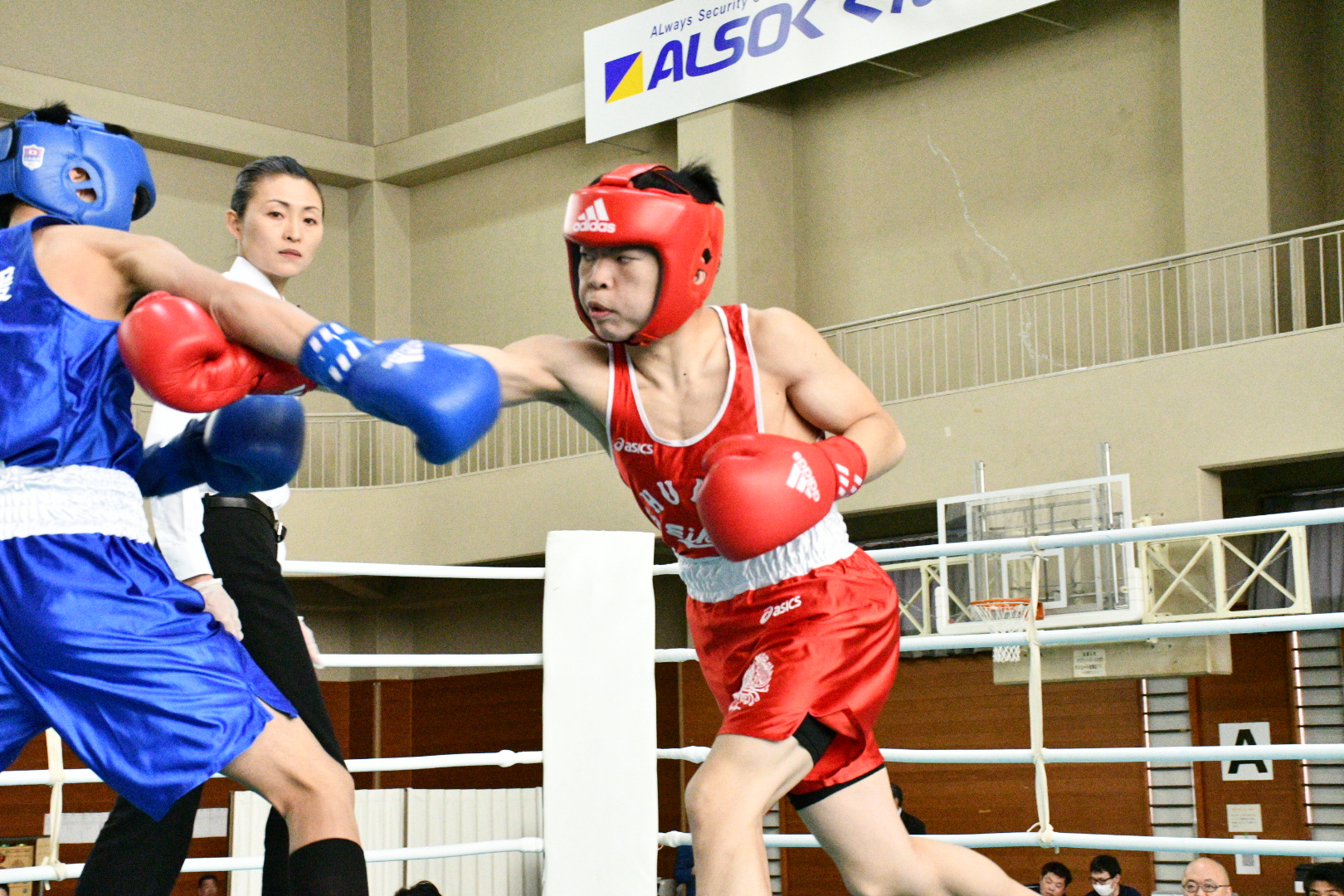 Les plus grandes stars japonaises telles que Kataoka, Kumamoto et Fujiki ont toutes remporté les titres aux 78e Championnats nationaux de boxe des lycées