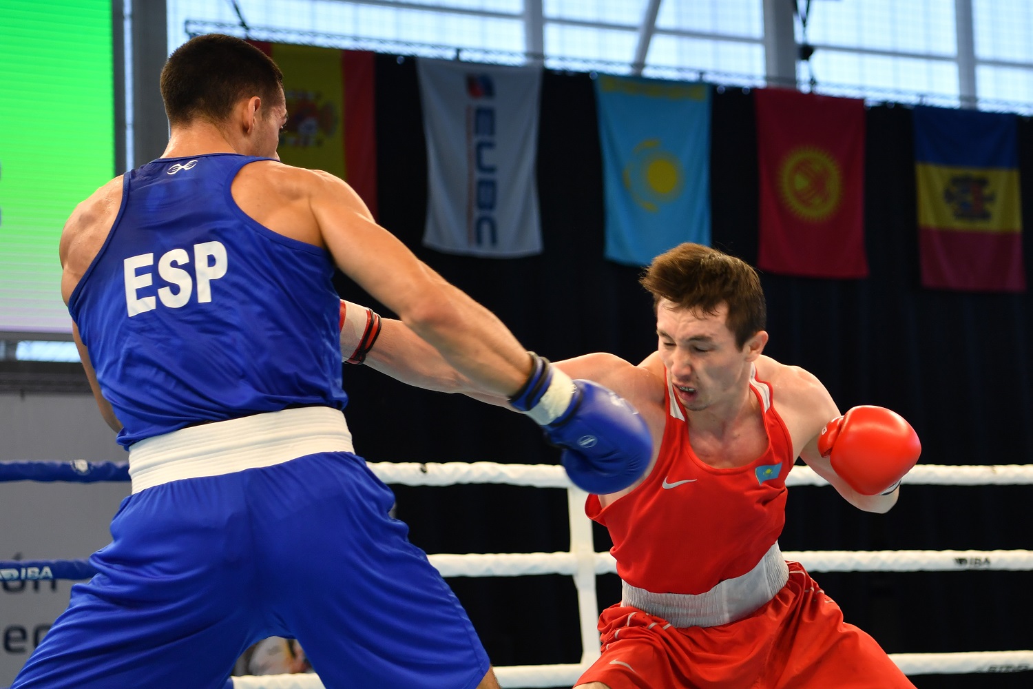Boxam Tournament - Day5 en direct en direct
