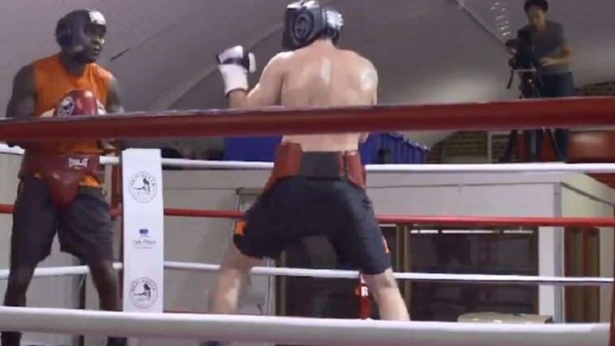 Deontay Wilder vs Filip Hrgovic spar