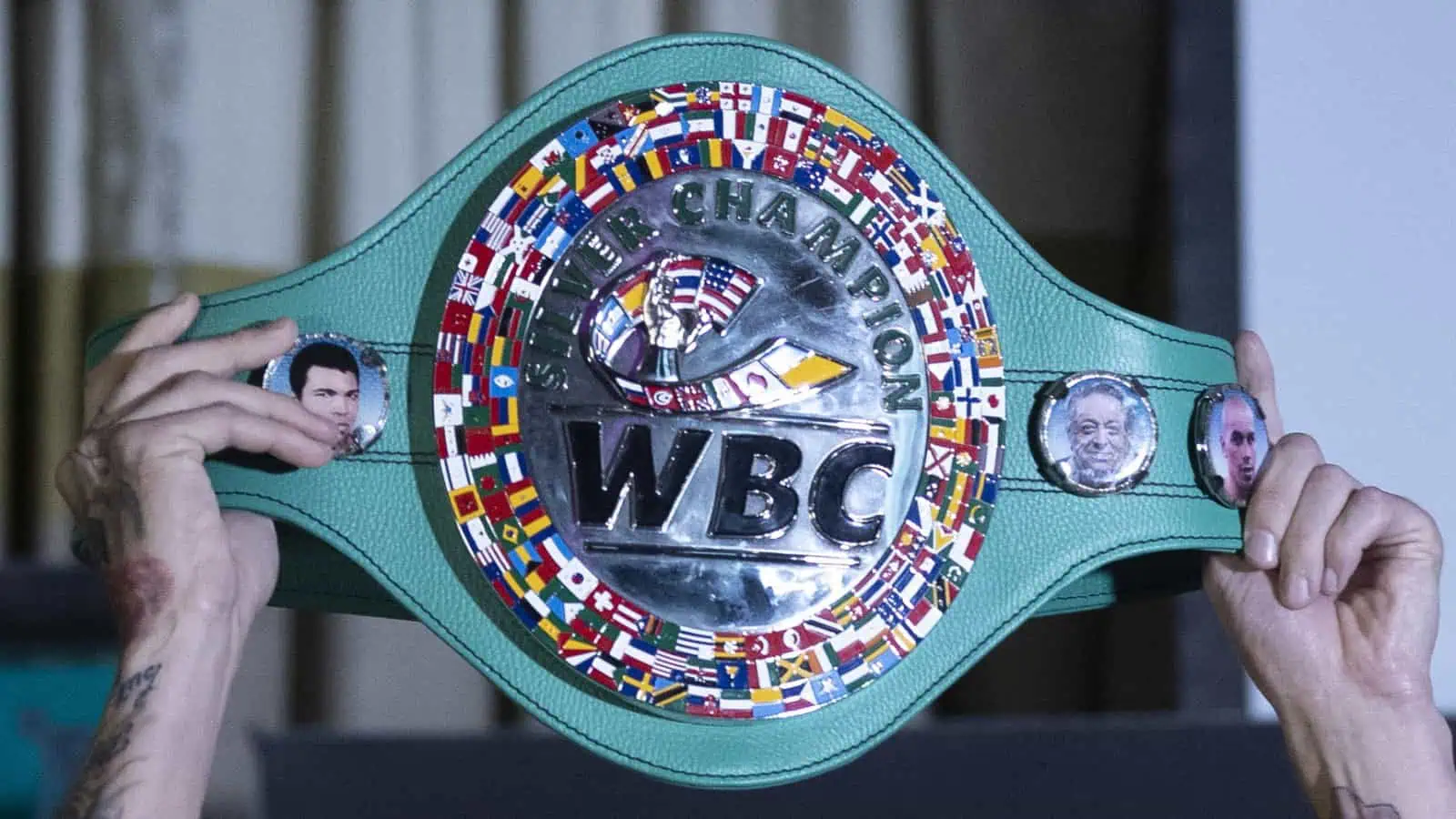 WBC title