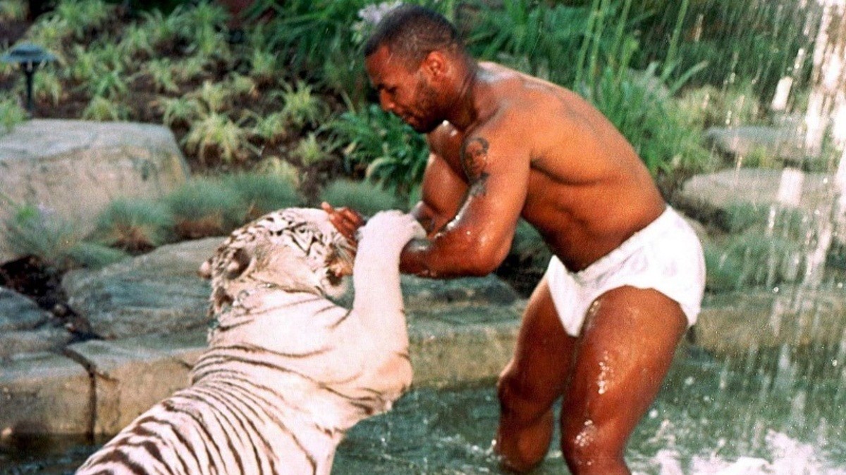 Mike Tyson Tiger Attack: Lady a eu un «mauvais accident»