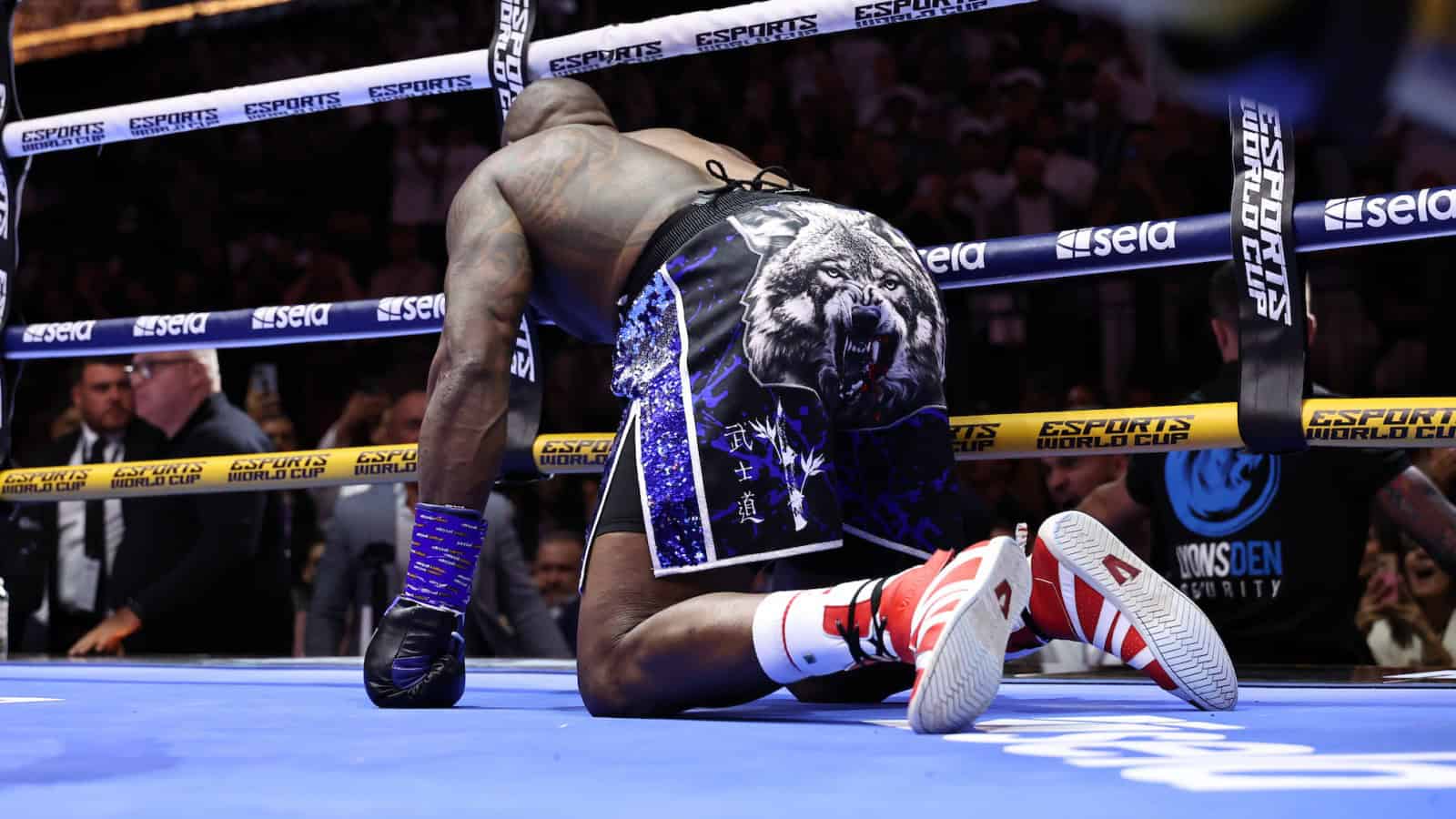 Dillian Whyte down against Moses Itauma