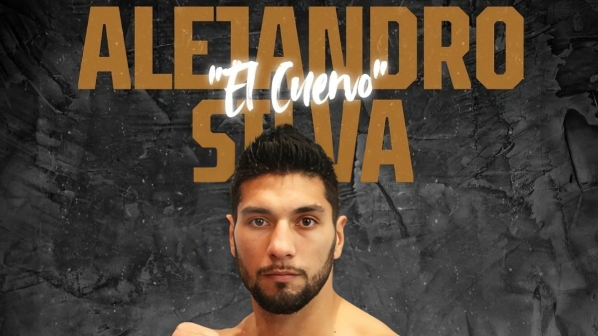 World Boxing News website logo worldboxingnews.com WBN