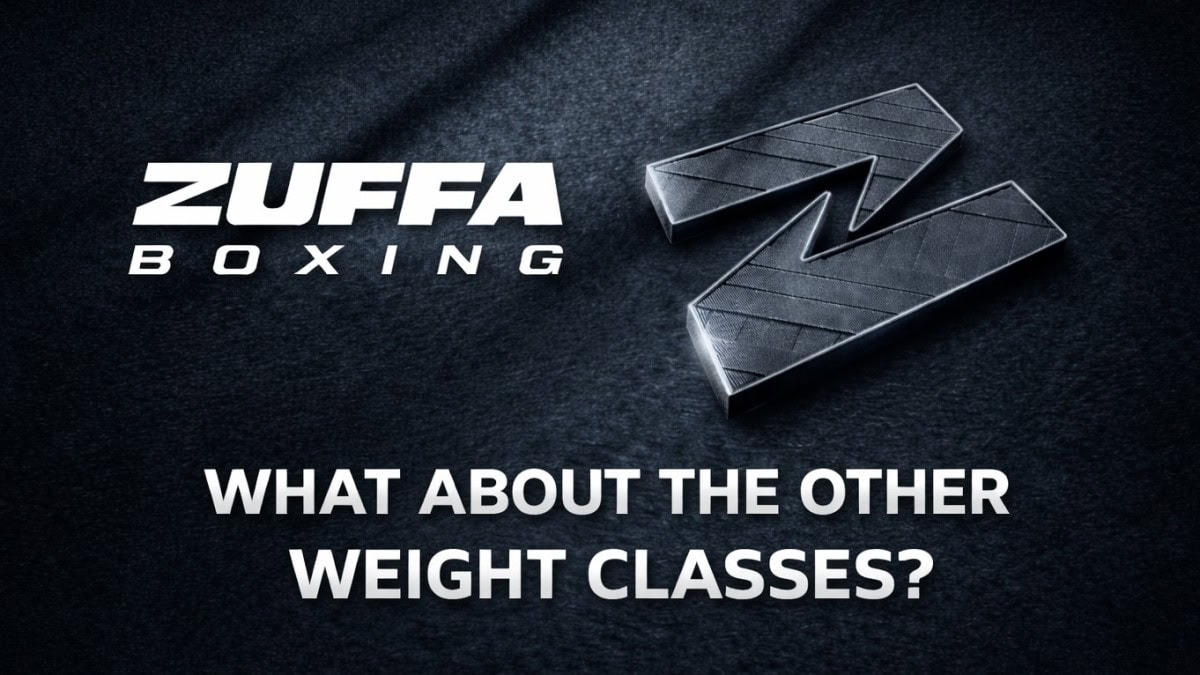 Zuffa Boxing graphic asking “What about the other weight classes?
