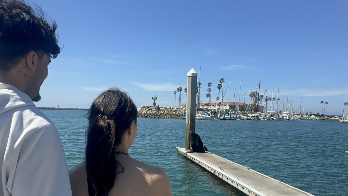 Boxer Isis Sio looking out to sea with her boyfriend after leaving hospital following coma recovery