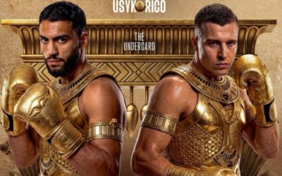 Hamzah Sheeraz vs Alem Begic Tableau de bord en direct