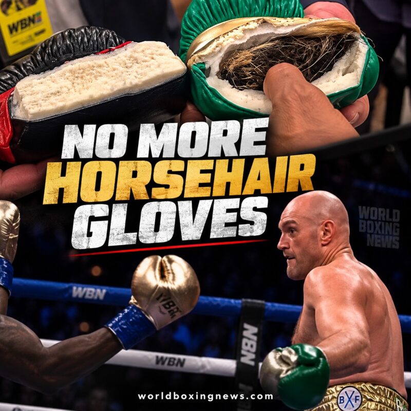 Image sociale pour la fin des gants en crin après l'interdiction de la boxe britannique